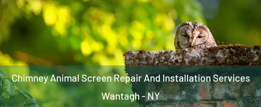  Chimney Animal Screen Repair And Installation Services Wantagh - NY