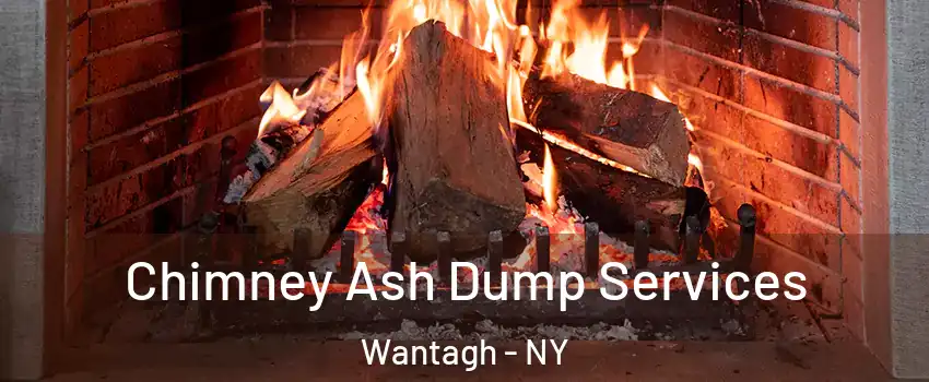  Chimney Ash Dump Services Wantagh - NY