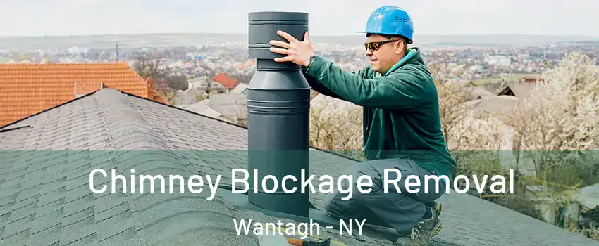  Chimney Blockage Removal Wantagh - NY