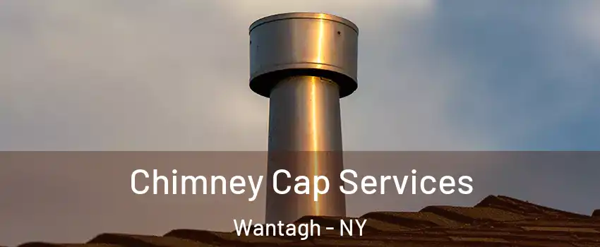  Chimney Cap Services Wantagh - NY