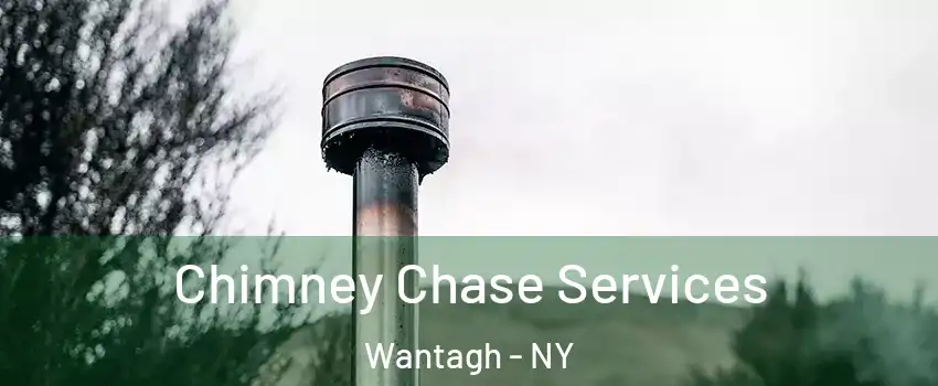  Chimney Chase Services Wantagh - NY