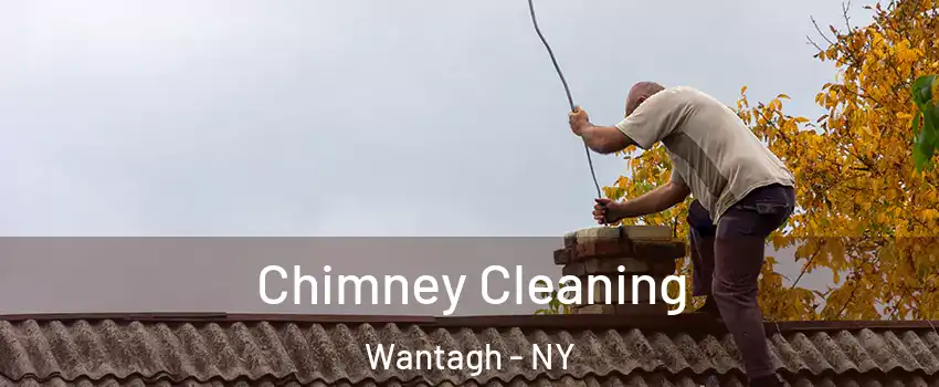  Chimney Cleaning Wantagh - NY