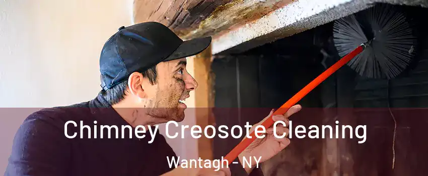  Chimney Creosote Cleaning Wantagh - NY