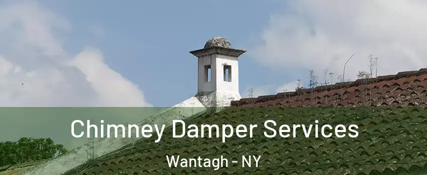  Chimney Damper Services Wantagh - NY