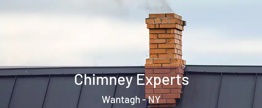  Chimney Experts Wantagh - NY