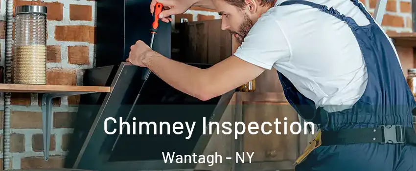  Chimney Inspection Wantagh - NY