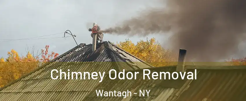  Chimney Odor Removal Wantagh - NY