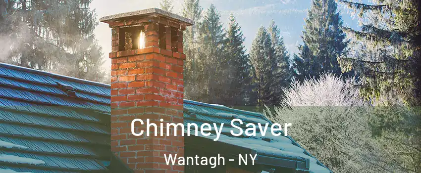  Chimney Saver Wantagh - NY