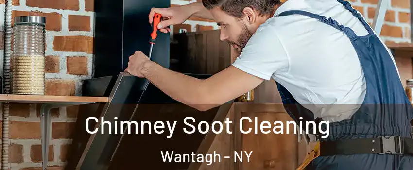  Chimney Soot Cleaning Wantagh - NY
