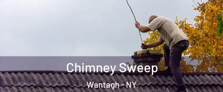  Chimney Sweep Wantagh - NY