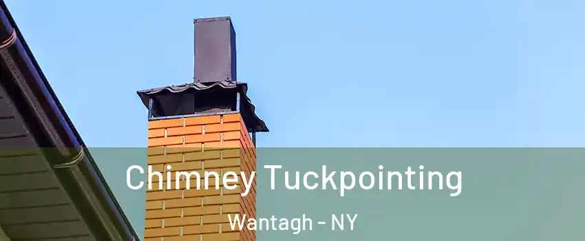  Chimney Tuckpointing Wantagh - NY