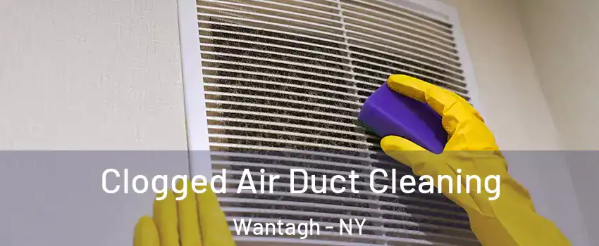  Clogged Air Duct Cleaning Wantagh - NY