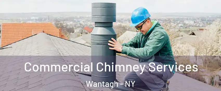  Commercial Chimney Services Wantagh - NY