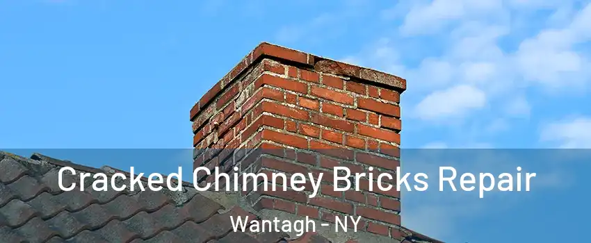  Cracked Chimney Bricks Repair Wantagh - NY