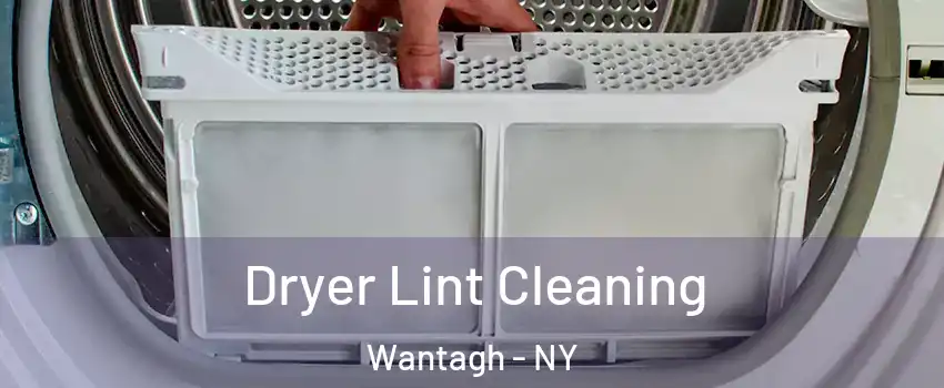 Dryer Lint Cleaning Wantagh - NY