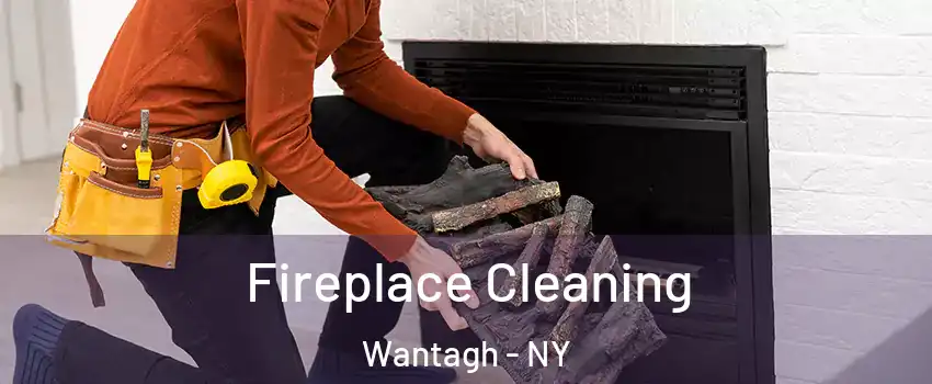  Fireplace Cleaning Wantagh - NY