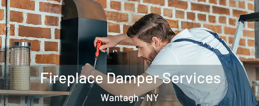  Fireplace Damper Services Wantagh - NY