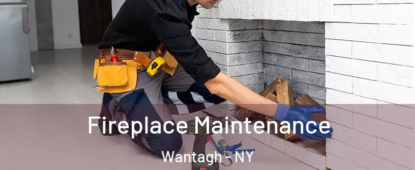  Fireplace Maintenance Wantagh - NY