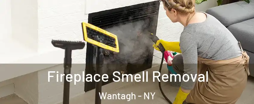  Fireplace Smell Removal Wantagh - NY