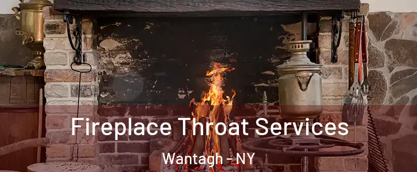  Fireplace Throat Services Wantagh - NY