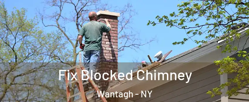  Fix Blocked Chimney Wantagh - NY
