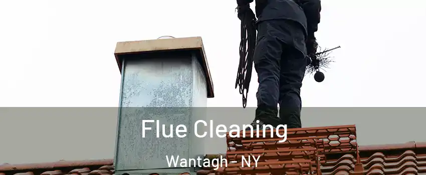  Flue Cleaning Wantagh - NY