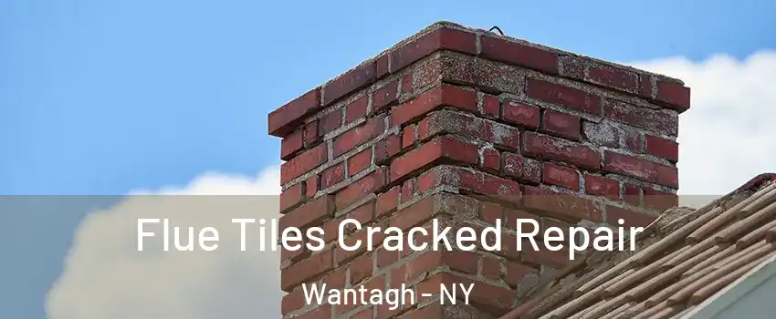  Flue Tiles Cracked Repair Wantagh - NY