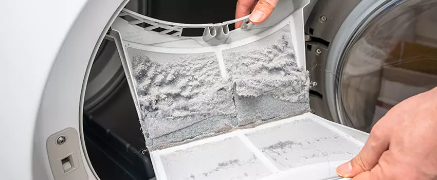 Best Dryer Lint Removal Company in Wantagh, New York