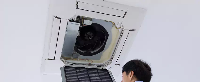 Benefits of Professional Air Duct Cleaning in Wantagh, New York
