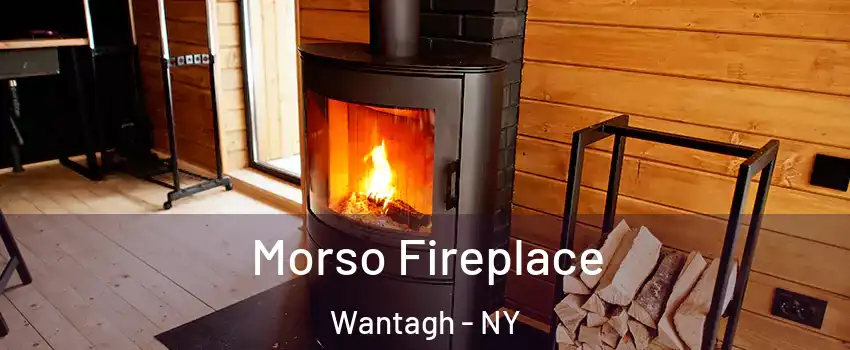  Morso Fireplace Wantagh - NY