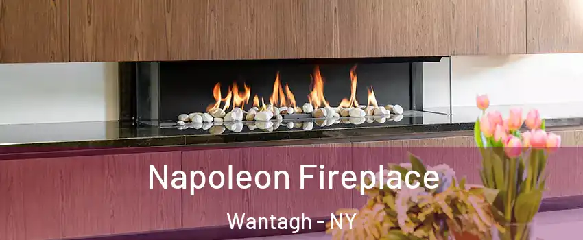  Napoleon Fireplace Wantagh - NY