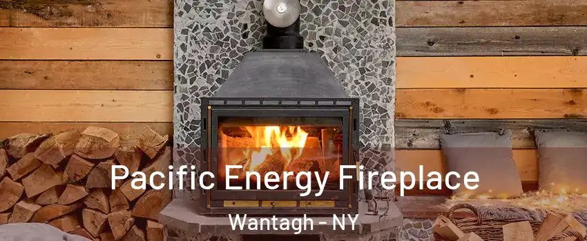  Pacific Energy Fireplace Wantagh - NY